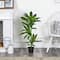 3ft. Dracaena Artificial Plant (Real Touch)